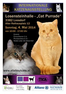 Show Plakat Loosdorf